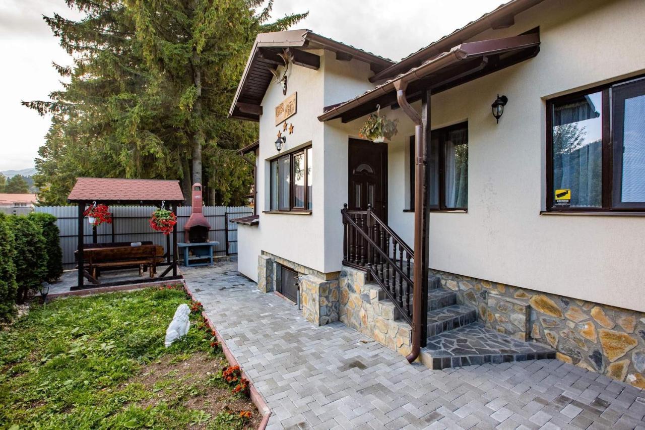 Hotel Casa Andy Buşteni Exterior foto